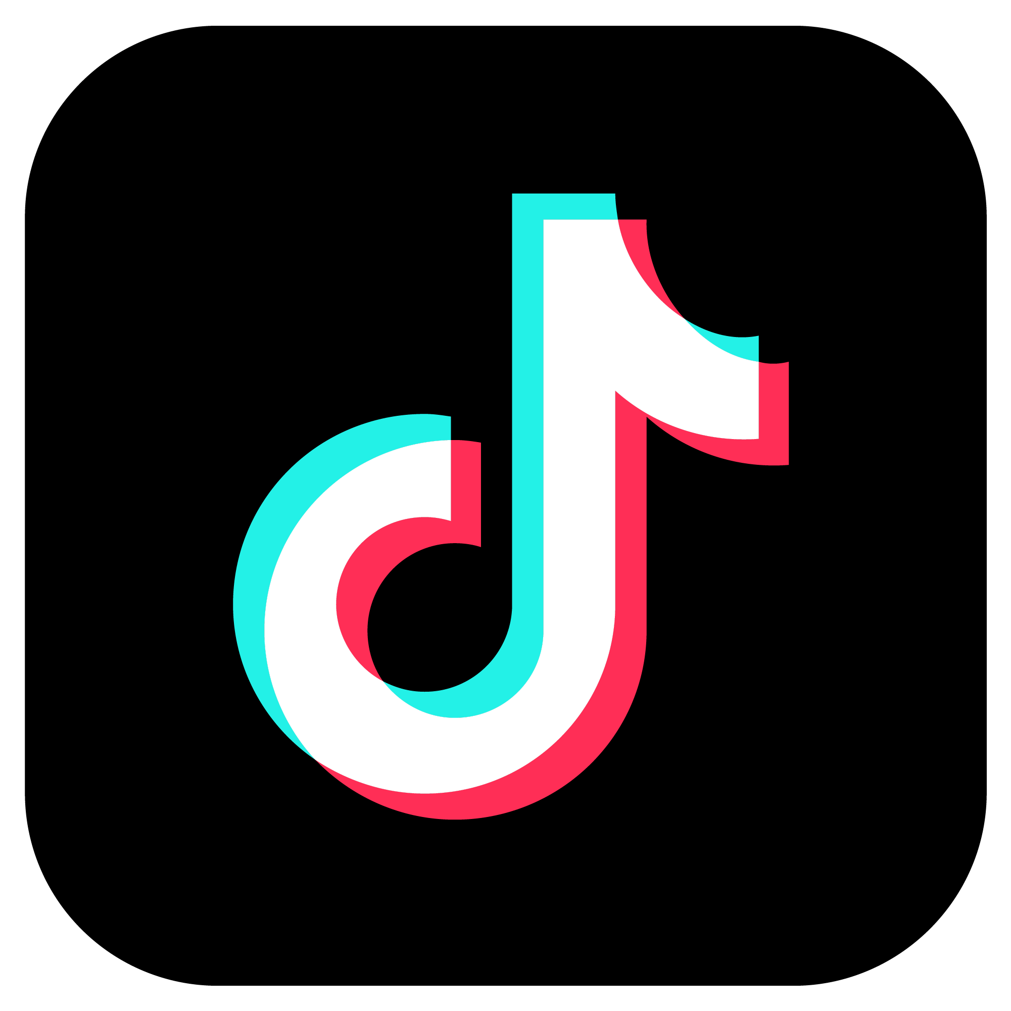 TikTok icon